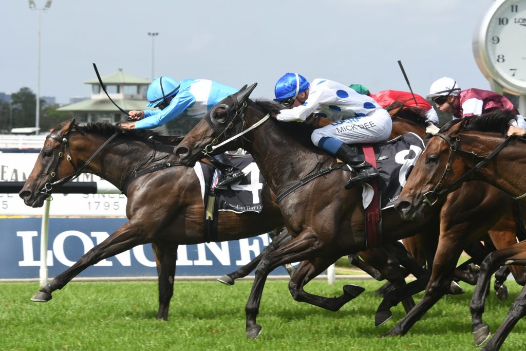 Prompt Response 310318 6187 | Just Horse Racing