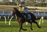 Provocative - Queensland Oaks