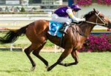Psychologist winning the Geoffrey Bellmaine Stakes at Caulfield - photo by Race Horse Photos Australia