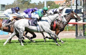 Puissance De Lune_130309_03 | Just Horse Racing