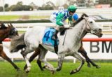 Puissance de Lune winning the Back to Caulfield P.B. Lawrence Stakes at Caulfield - photo by Race Horse Photos Australia