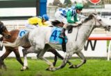 Puissance de Lune winning the Back to Caulfield P.B. Lawrence Stakes at Caulfield - photo by Race Horse Photos Australia