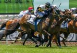 Quick Snitzel winning the Race 2 at Moonee Valley - photo by Race Horse Photos Australia (Steven Dowden)