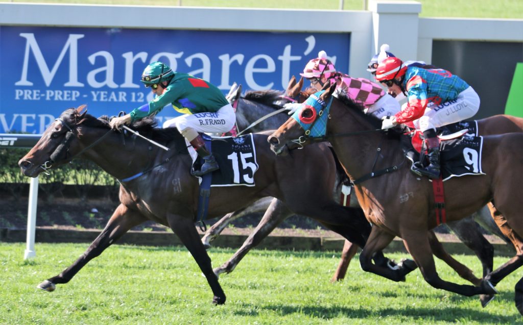 RANCHO MONTOYA - Robbie Fradd 3 | Just Horse Racing