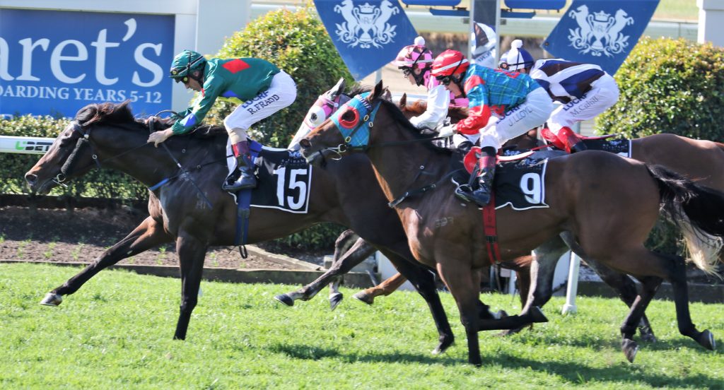 RANCHO MONTOYA - Robbie Fradd 4 | Just Horse Racing