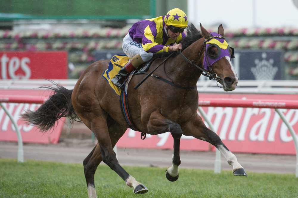 Race 1, Boomwaa, Vlad Duric-2 | Just Horse Racing
