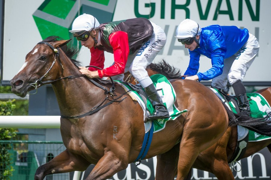 Race 1, English, Blake Shinn, 07-03-15, Randwick-1 | Just Horse Racing