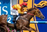 Of The Brave, Stephen Baster - Blue Diamond Stakes 2015