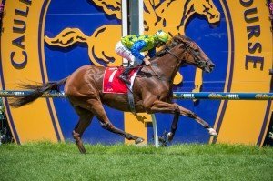 Phantom Brew, Luke Nolen | Just Horse Racing Phantom Brew, Luke Nolen
