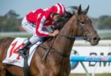 Belle Couture will be looking for back to back wins at Flemington on Saturday