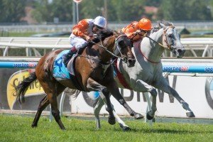 Race 2, Chase The Rainbow, Craig Williams-2 | Just Horse Racing Chase The Rainbow, Craig Williams