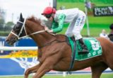 Junoob, Blake Shinn