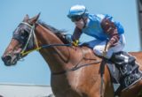 Noisy Ocean, Tommy Berry