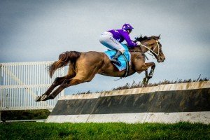 Maythehorsebemagic, Brad McLean