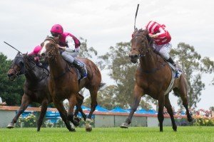 Paddy's Gem, Brad Rawiller