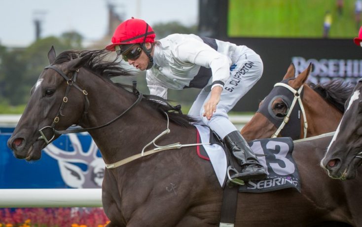 Sam Clipperton
