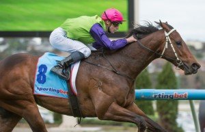 Cauthen | Just Horse Racing Cauthen