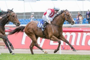 General Groove - Chester Manifold Stakes 2016