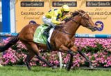 Rubick, Kerrin McEvoy