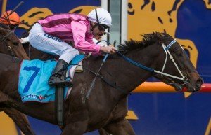 Race 5,Kiss A Rose.2 | Just Horse Racing Kiss A Rose