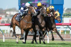 Race 6, Araldo, Glen Boss, Flemington, Protest Upheld-4 | Just Horse Racing Araldo, Glen Boss, Flemington