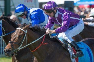 Race 6, Boban, Glyn Schofield, Caulfield-2 | Just Horse Racing Boban, Glyn Schofield