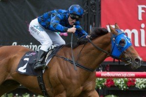 Buffering, Damian Browne - Photo by Sharon Chapman