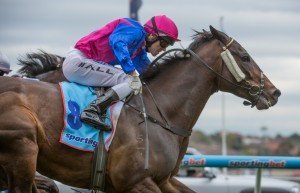 Race 6, Clear For Action, Moonee Valley-11 | Just Horse Racing Clear For Action, Moonee Valley