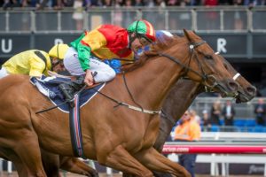 Happy Trails, Damien Oliver