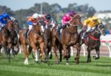 Rich Enuff, Michael Rodd - Caulfield Guineas 2014