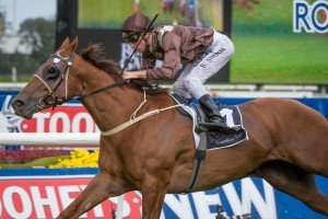 Sweet Idea | Just Horse Racing Sweet Idea