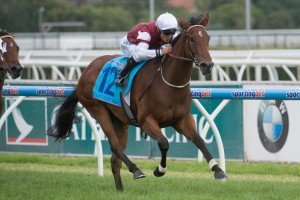 Race 7, Earthquake, Damian Browne-1 | Just Horse Racing Earthquake, Damian Browne