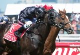 Fiorente, Damien Oliver