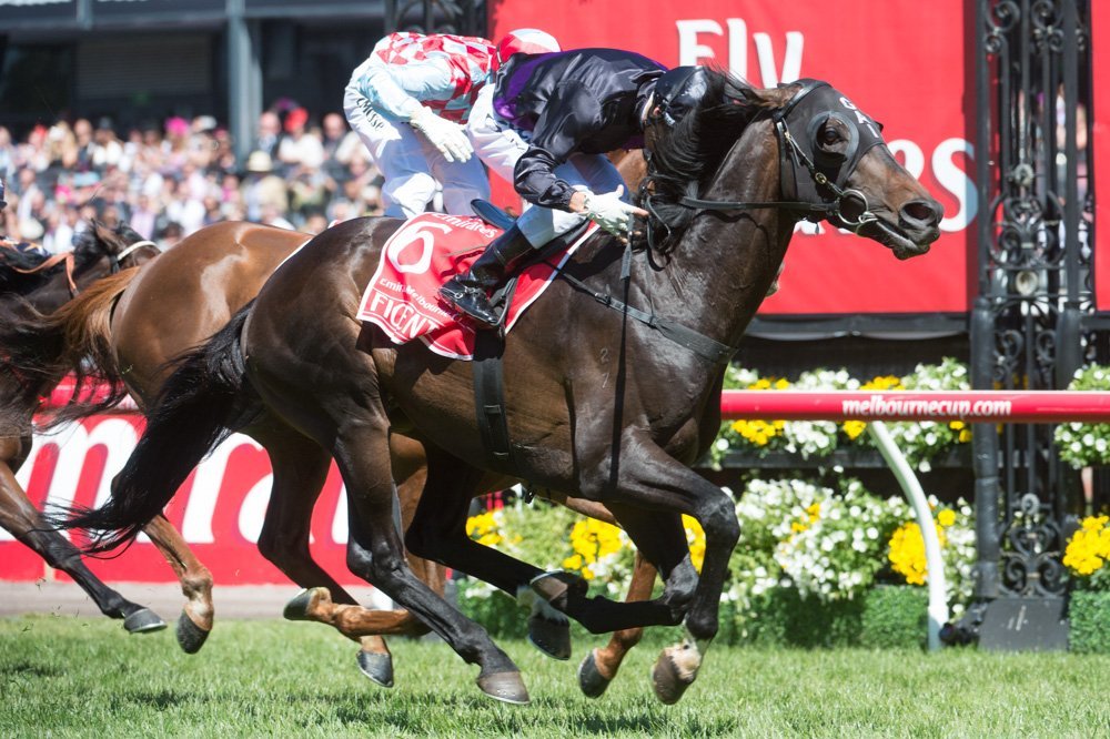 Fiorente, Damien Oliver - Photo by Sharon Chapman