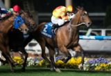 Lankan Rupee, Craig Newitt
