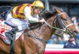 Preferment