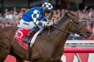Protectionist - Melbourne Cup