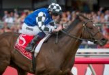 Protectionist - Melbourne Cup