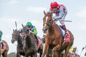 Red Cadeaux, Gerald Mosse