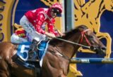 Shamal Wind