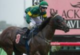 Snitzerland, Brenton Avdulla