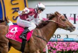 Trust In A Gust, Brad Rawiller