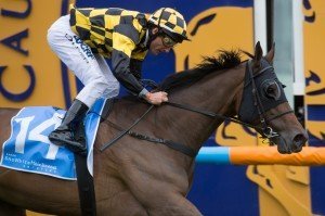 Race 7, Zonza, Damien Oliver-3 | Just Horse Racing Zonza, Damien Oliver