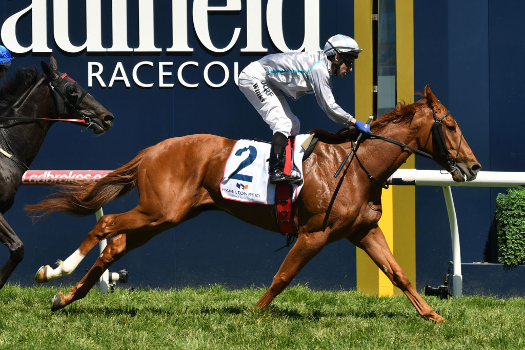 Race2-Violate-1810176325 | Just Horse Racing