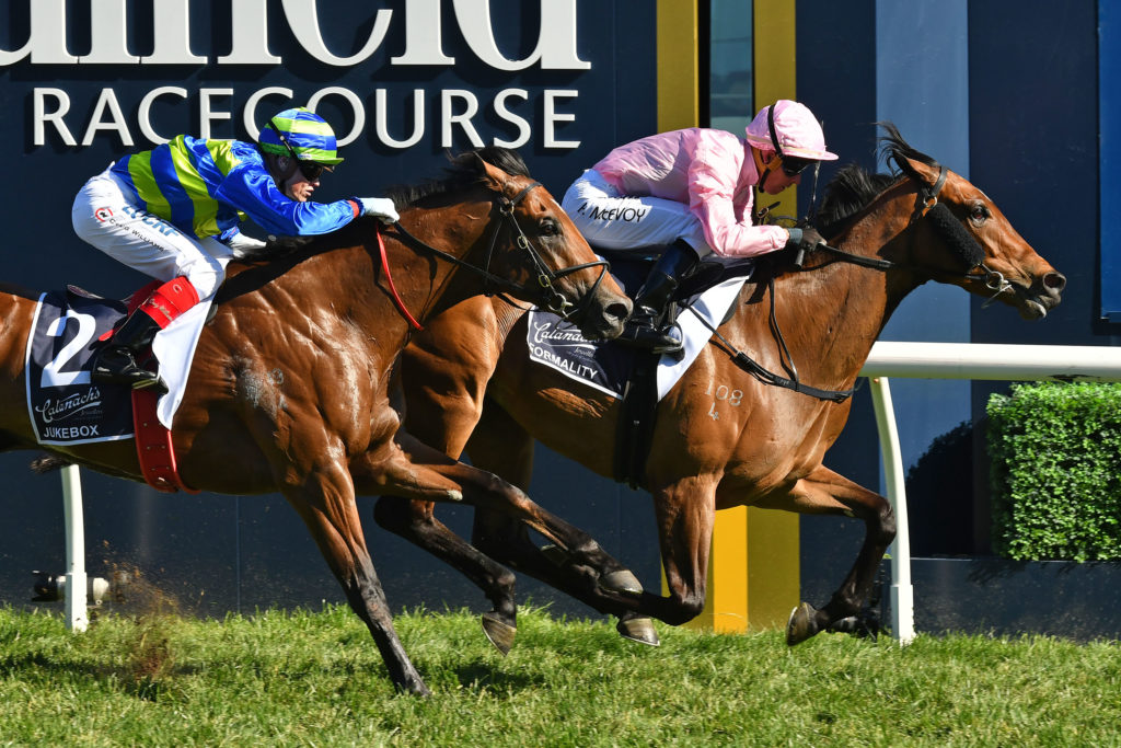 Formality | Just Horse Racing