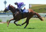 aceway announced himself as a Golden Slipper prospect