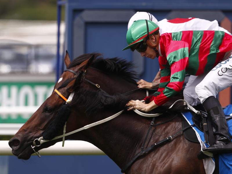 Randwick Aspiration | Just Horse Racing
