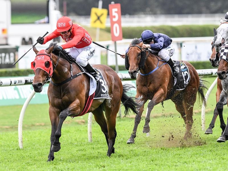 Randwick Concorde | Just Horse Racing