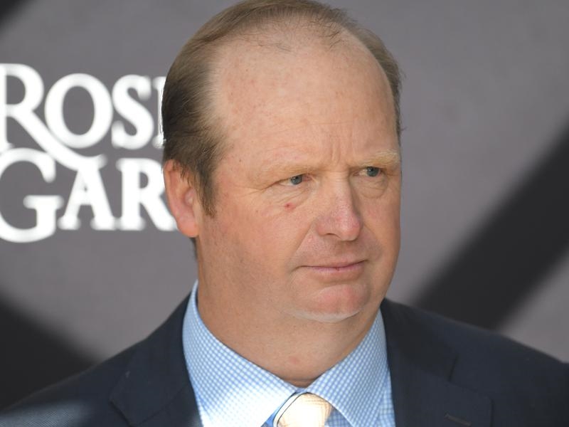 Randwick Gary Portelli | Just Horse Racing