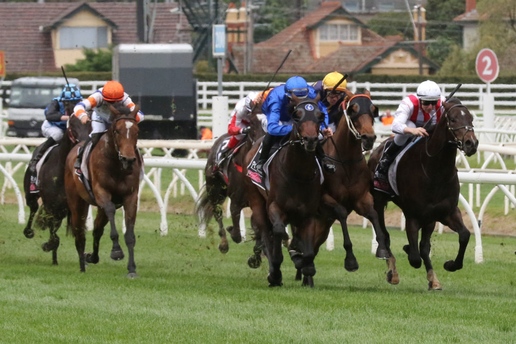 Ranier,Gothic Stakes,Listed_20-10-2018_WIN_Caulfield_2__248 | Just Horse Racing